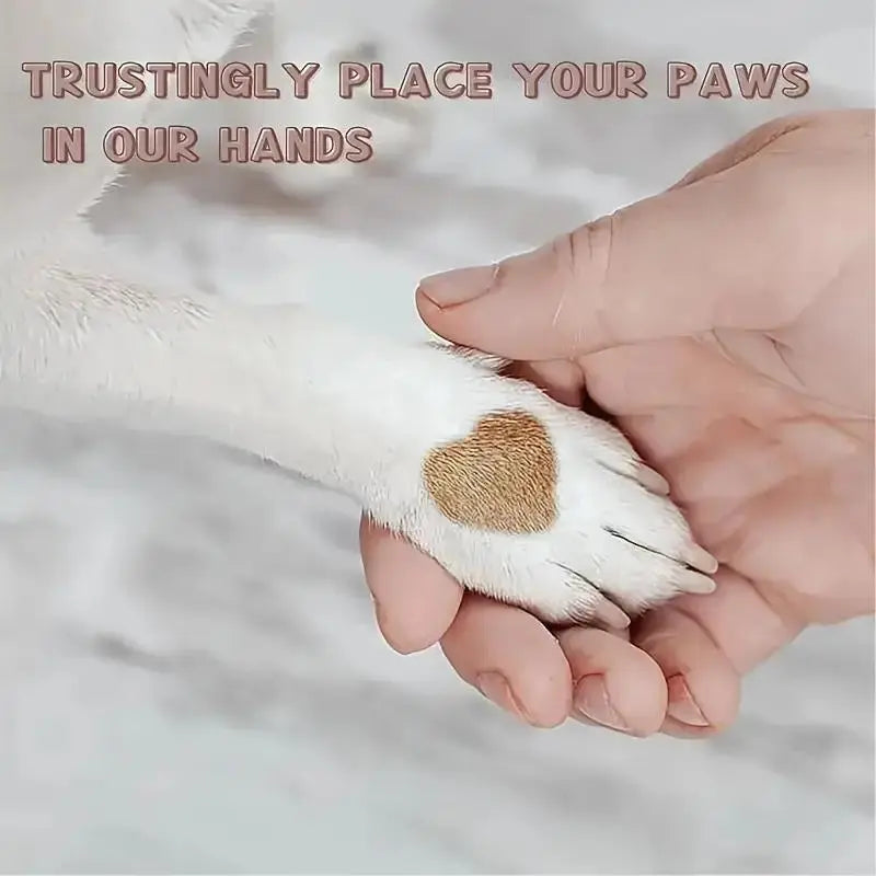 Dog Nail Care File and Scratch Pad - Stress-Free Grooming Tool to Prevent Furniture Damage from Long Nails